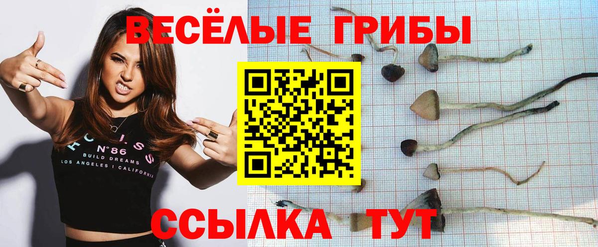 Галлюциногенные грибы Magic Shrooms  Вход с VPN  Сургут 