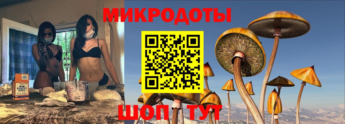 Галлюциногенные грибы Cubensis Сургут